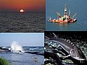 Экологические проблемы Астраханской области