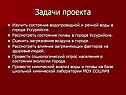 Задачи проекта
