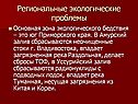 Региональные экологические проблемы