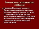 В г. Дальнегорске производят выплавку металлов