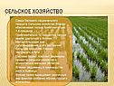 Сельское хозяйство
