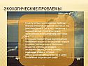Экологические проблемы