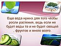 Еще вода нужна для того чтобы росли растения, ведь если не будет воды