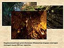 Формы рельефа Северной Америки