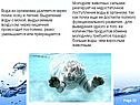 Молодняк животных
