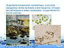 Жизнь