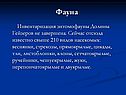 Фауна