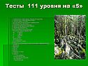 Путешественник