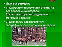 Проблемные вопросы