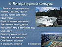 6.Литературный конкурс