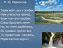 М. Ю. Лермонтов