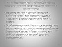 Новый тип воспроизводства населения