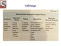 Таблицы