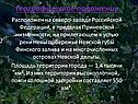 Географическое положение
