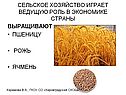 Сельское хозяйство играет ведущую роль в экономике страны