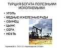 Турция богата полезными ископаемыми:
