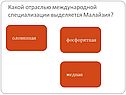 Какой отраслью международной специализации выделяется Малайзия