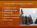 Типы почв северных широт