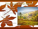 Типы почв южных широт