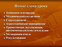 Новые слова урока