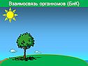 Взаимосвязь организмов (БиК)