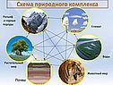 Схема природного комплекса