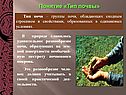 Понятие «Тип почвы»