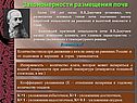 Закономерности размещения почв
