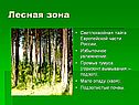 Лесная зона