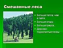 Смешанные леса