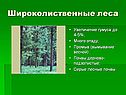 Широколиственные леса