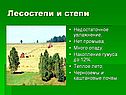 Недостаточное увлажнение
