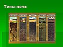 Главные типы почв