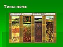 Типы почв