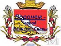 Город Воронеж