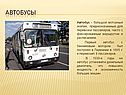 Автобусы