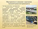 Мероприятия по снижению загрязнения городской среды