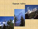 Горная тайга