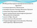 Границы