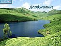 Дарджилинг