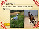 Основной вид хозяйства в эпоху бронзы