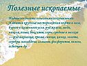 Полезные ископаемые