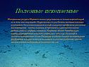 Полезные ископаемые