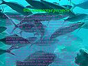 Биологические ресурсы