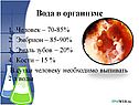 Вода в организме