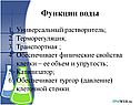 Функции воды