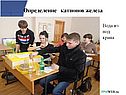 Определение катионов железа