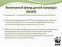 Всемирный фонд дикой природы (WWF)