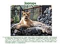 Зоопарк