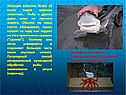 Японцам известно более 10 тысяч видов морских животных